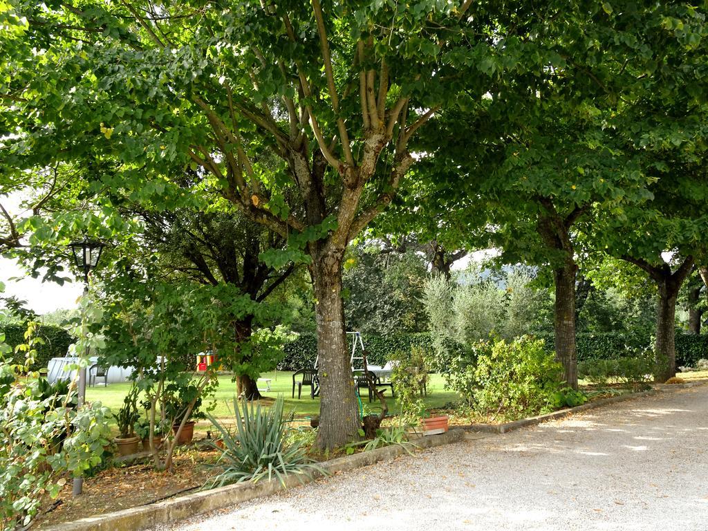 Casa Dina Bed and Breakfast Terontola Εξωτερικό φωτογραφία
